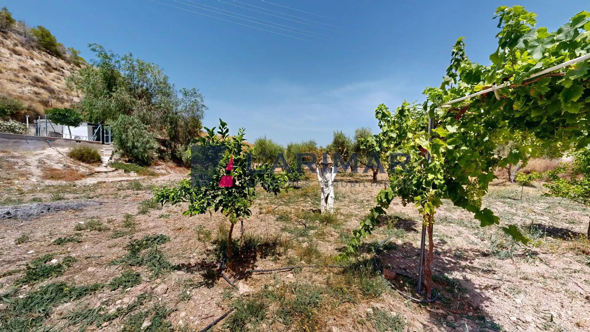 Casa o xalet en venda en Aspe amb Aire condicionat, Calefacció i Jardí privat