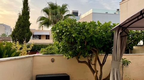 Foto 2 de Planta baixa en venda a Es Vivero, Palma de Mallorca