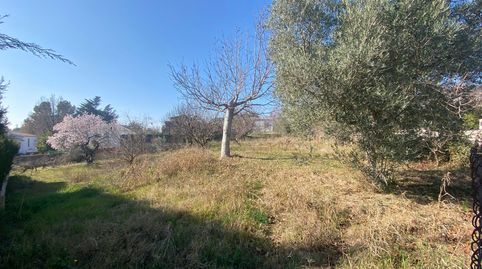 PARCEL·LA A ST.JULIÀ D'ALFOU, imatge 4