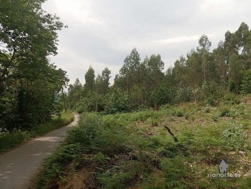 Terreno en venta en Castrillón