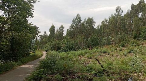 Foto 4 de Terreno en venta en Pillarno, Castrillón