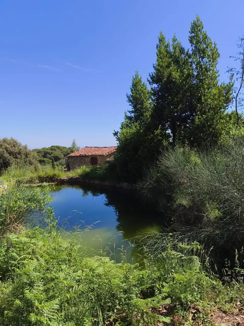 Terreno rustico in vendita a Tordera pueblo, imagen 36
