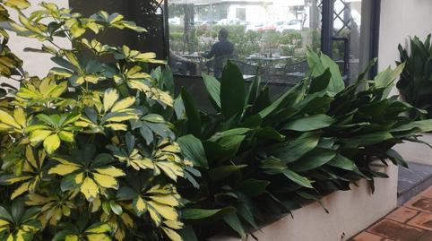 Photo 4 of Premises to rent in Ricardo Soriano, Marbella