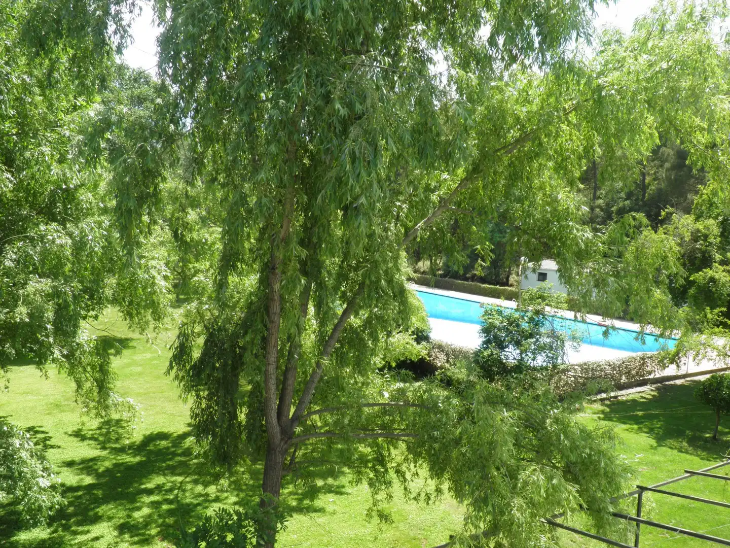Swimming pool of Buildings for sale in Brazatortas  with Alarm and Community pool