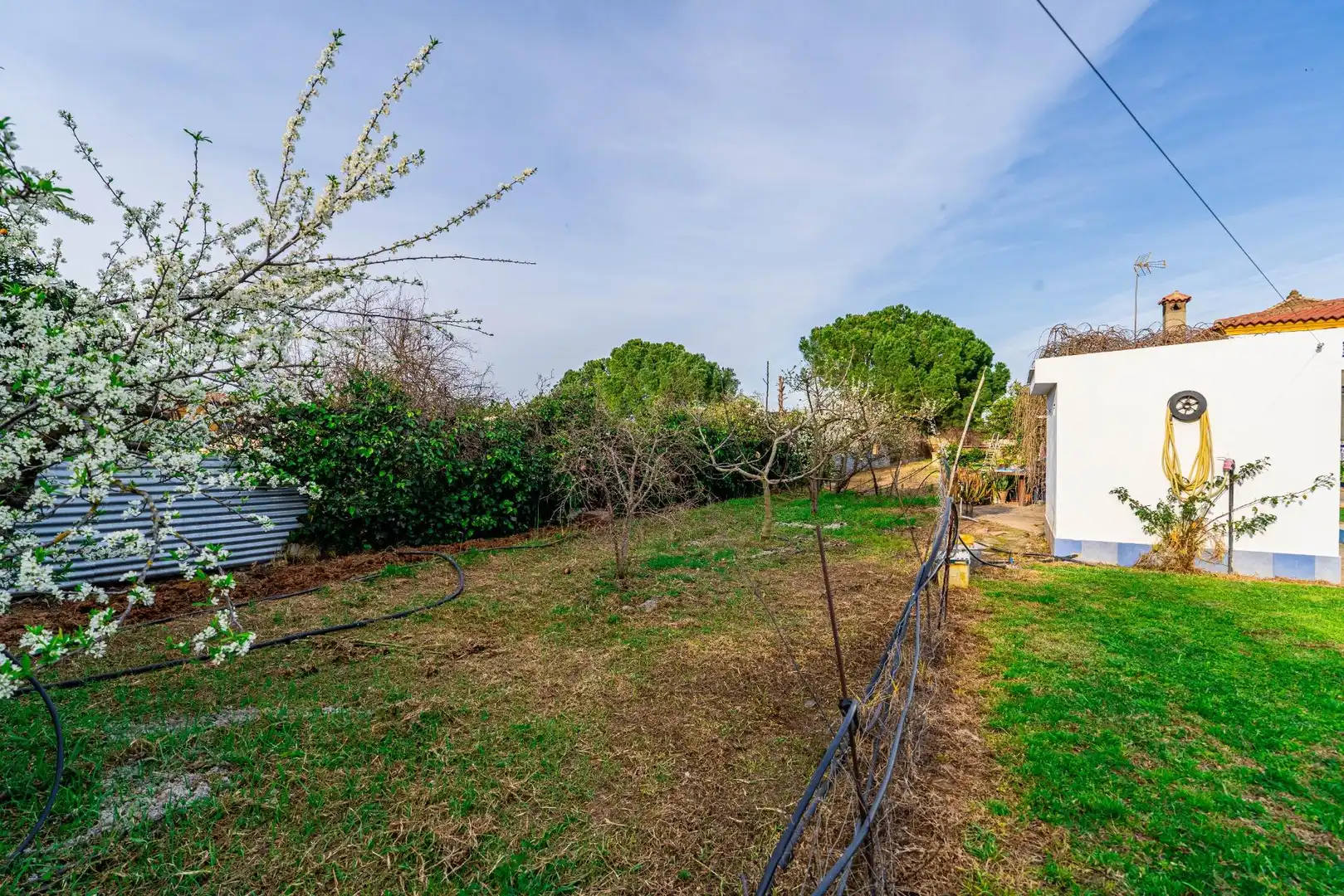 Chalet con piscina en venta en PQ NACIONAL SIERRA NEVADA, imagen 50