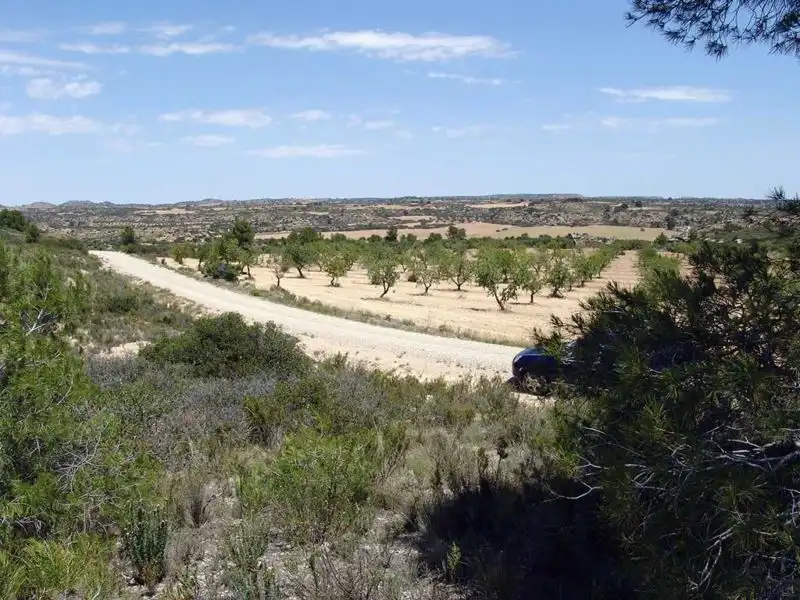 Finca rústica en venta en Alcañiz