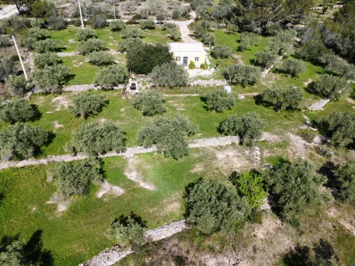 Maison rustique à vendre à L'Ametlla de Mar pueblo, imagen 19