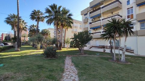 Foto 2 de Estudio en venta en Carretera de Les Marines a Dénia, El Palmar - Los Molinos, Dénia