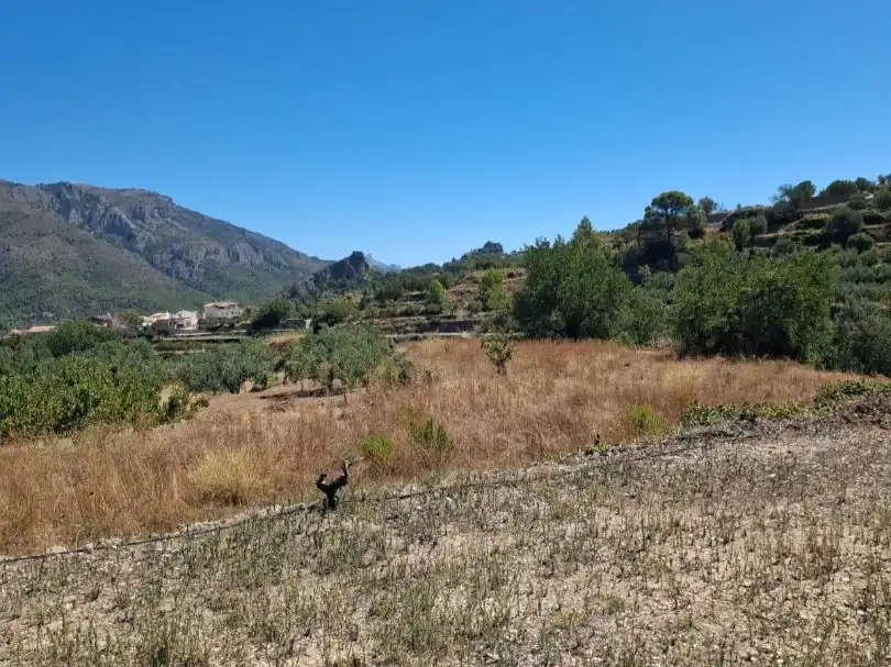 Grundstücke zum Verkauf in Beniardà