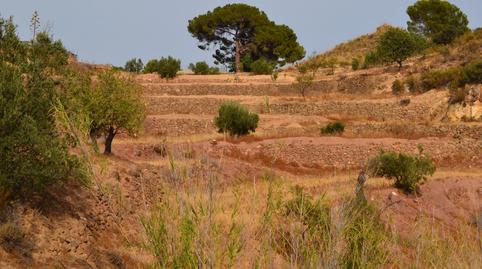 Foto 3 de Finca rústica de lloguer amb opció a compra a Polígono Polígono Industrial la Hoya, La Hoya, Lorca