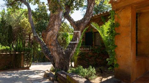 Foto 5 de Casa o chalet de alquiler en Bell - Aire, Sant Andreu de Llavaneres