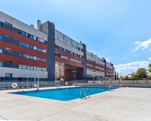 Swimming pool of Flat for sale in Alcobendas  with Storage room, Oven and Community pool