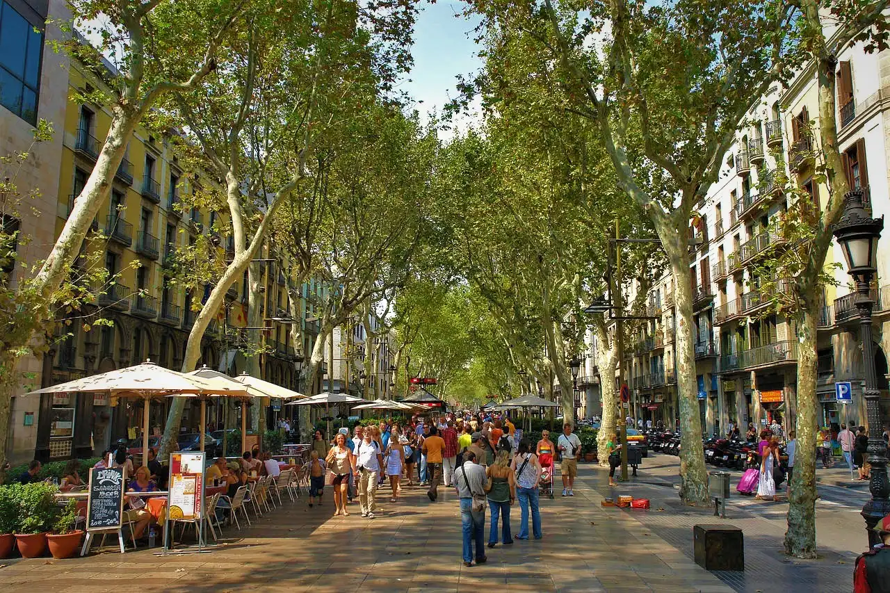 Ático en venta en Ciutat Vella, imagen 13
