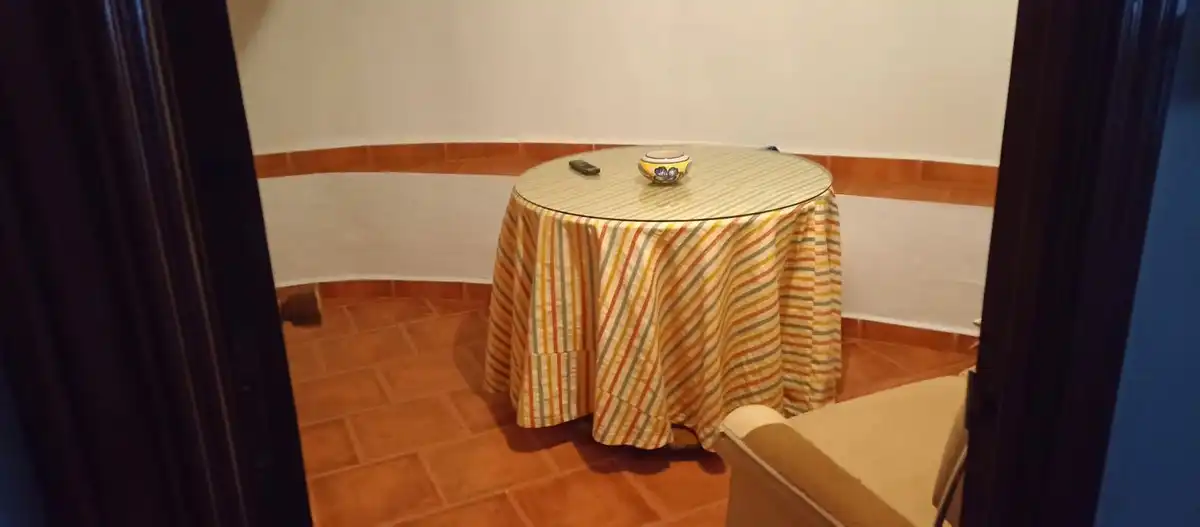 Local commercial à vendre à ANDALUCIA, imagen 33