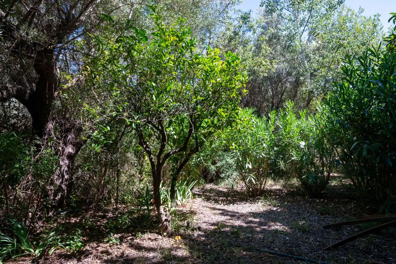 Finca rústica en venda en Lecrín amb Piscina