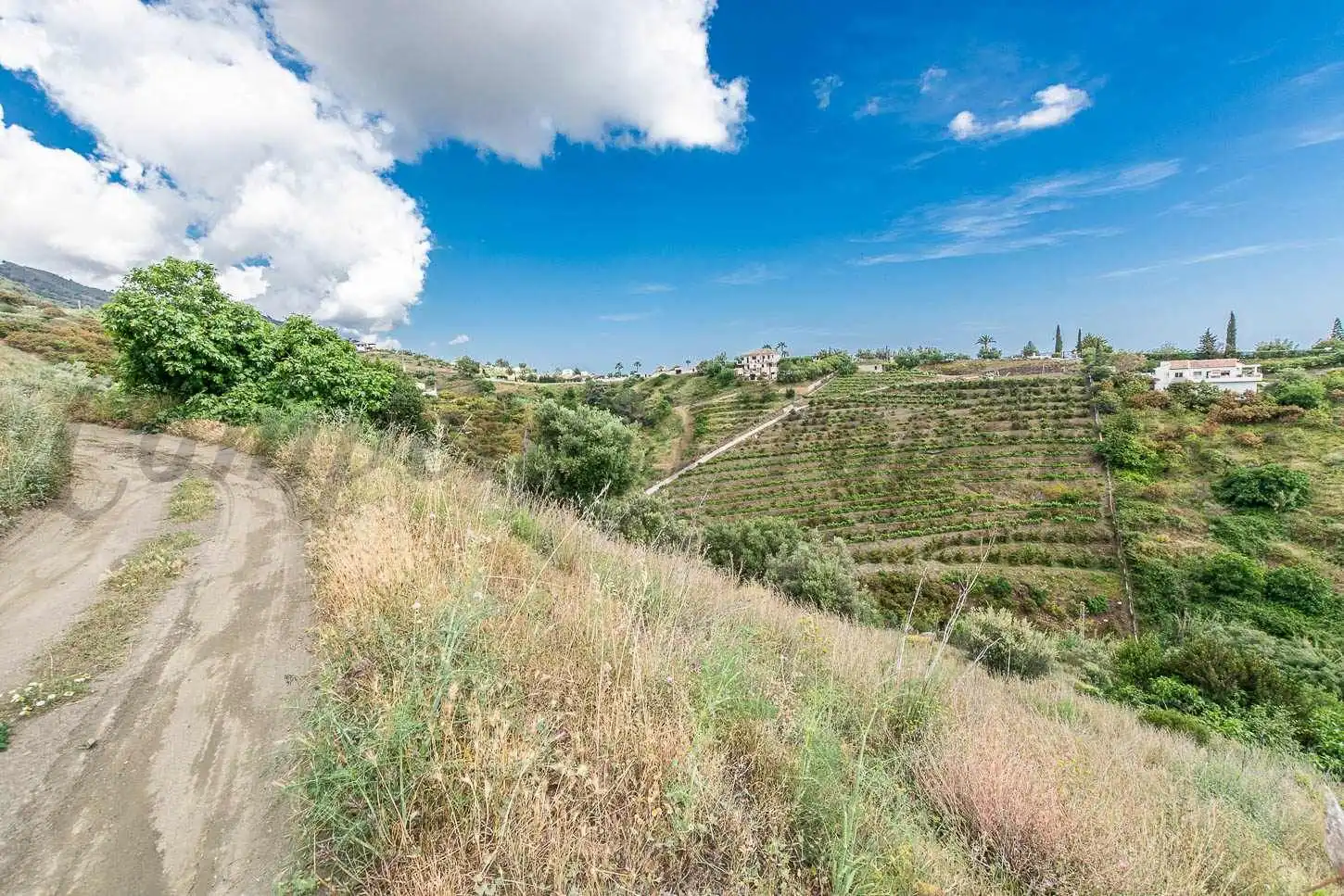 Terreno rústico en venta en Frigiliana