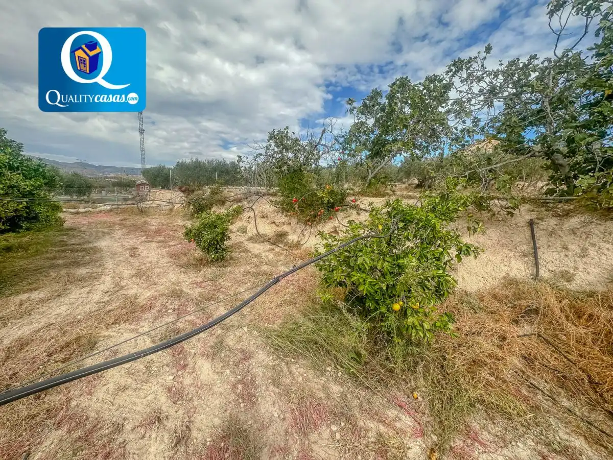 Lands and plots for sale in Partidas de Alicante, imagen 14