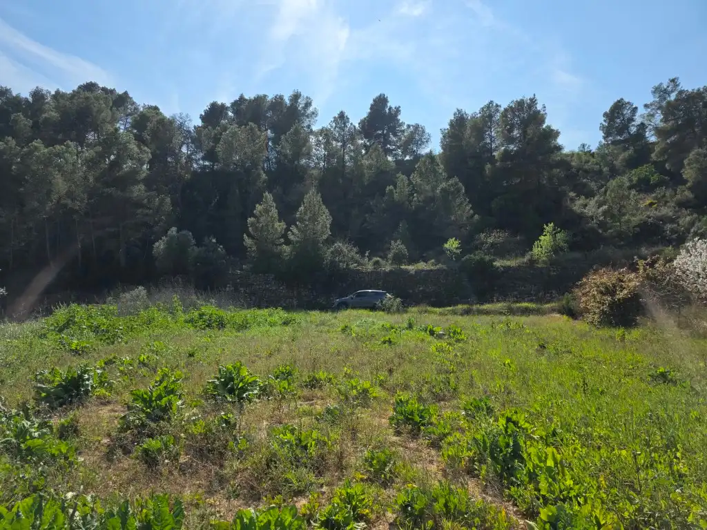 Terreno rustico in vendita a Carrer Soledat 2, imagen 6
