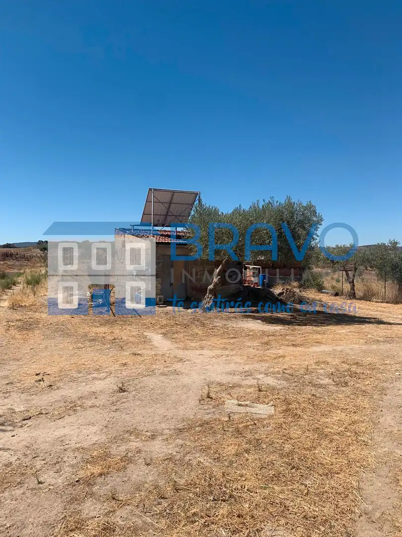 Chalet en venta en La Haba, imagen 31