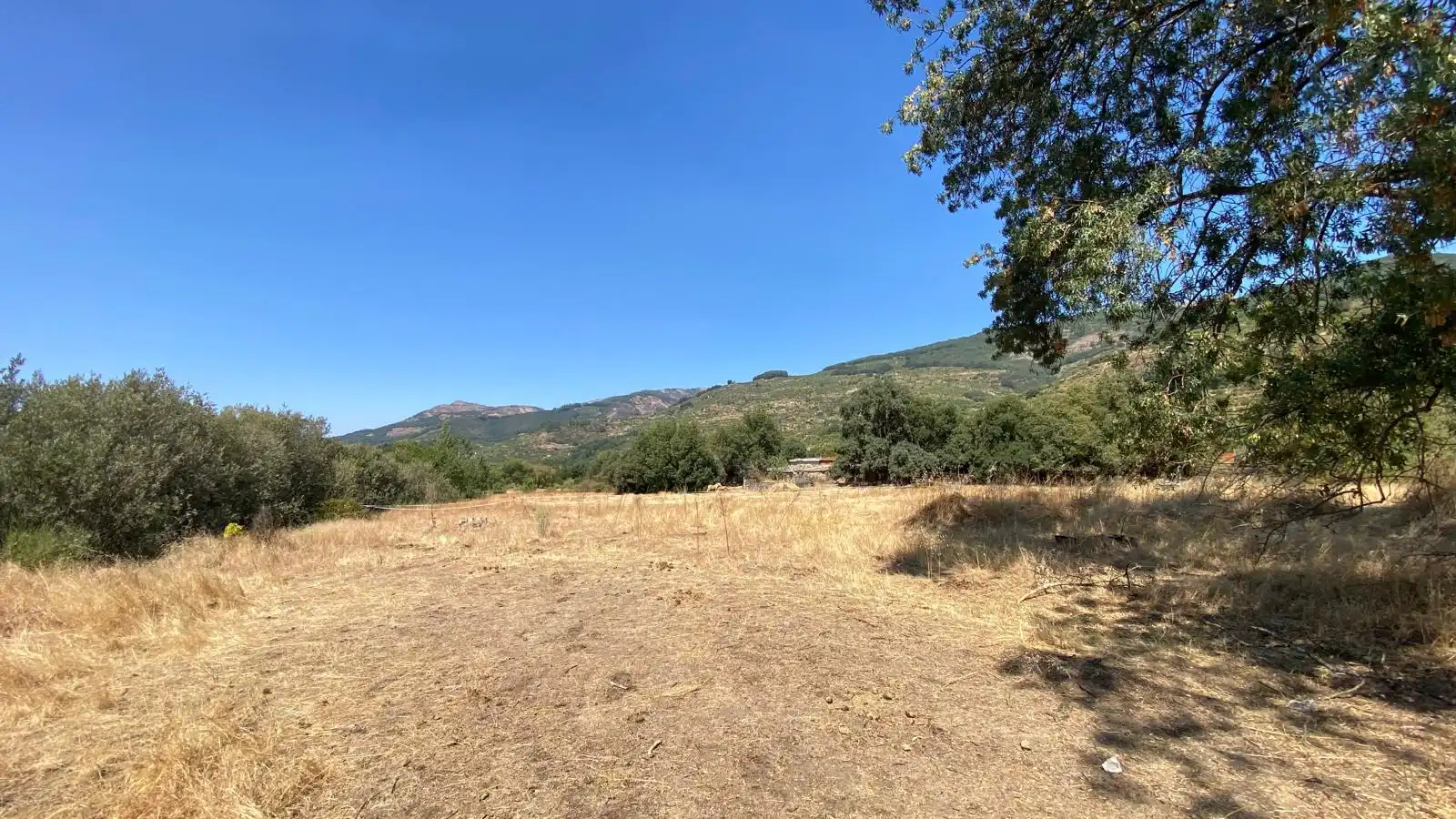 Rural land for sale in Calle el Roble 4, imagen 7