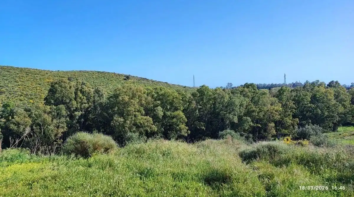 Terrain rustique à vendre à Diseminado la Rosa, imagen 4
