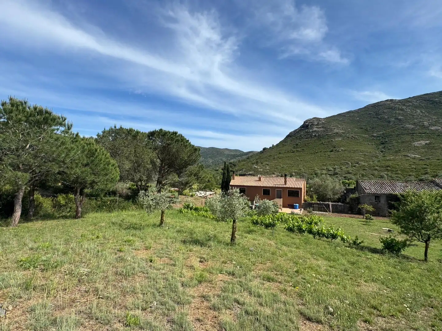 Casa o xalet en venda en Llançà amb Aire condicionat, Calefacció i Jardí privat