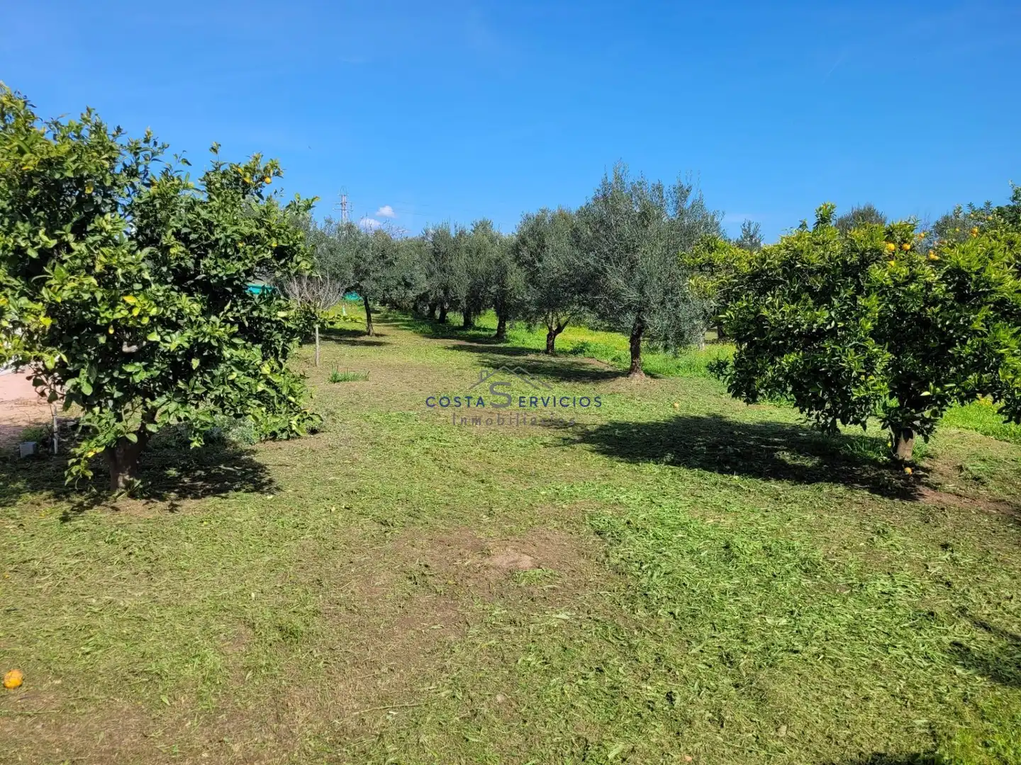 Country homes for sale in Gibraleón  with Storage room and Community pool