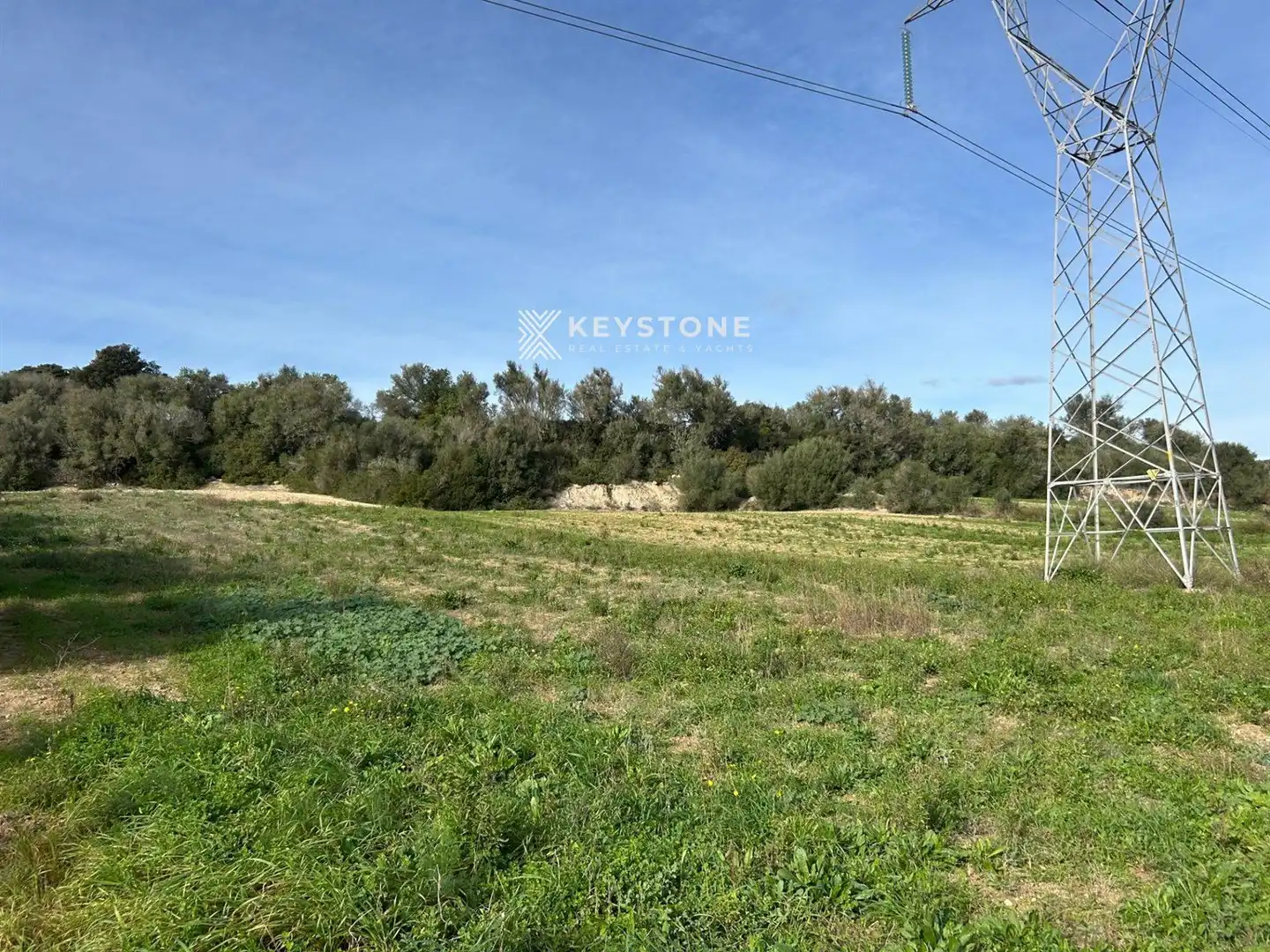 Rural land for sale in Muro, imagen 3