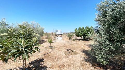 Photo 2 of Residential for sale in Calle del Camino del Río, 105, Villarrubia, Córdoba