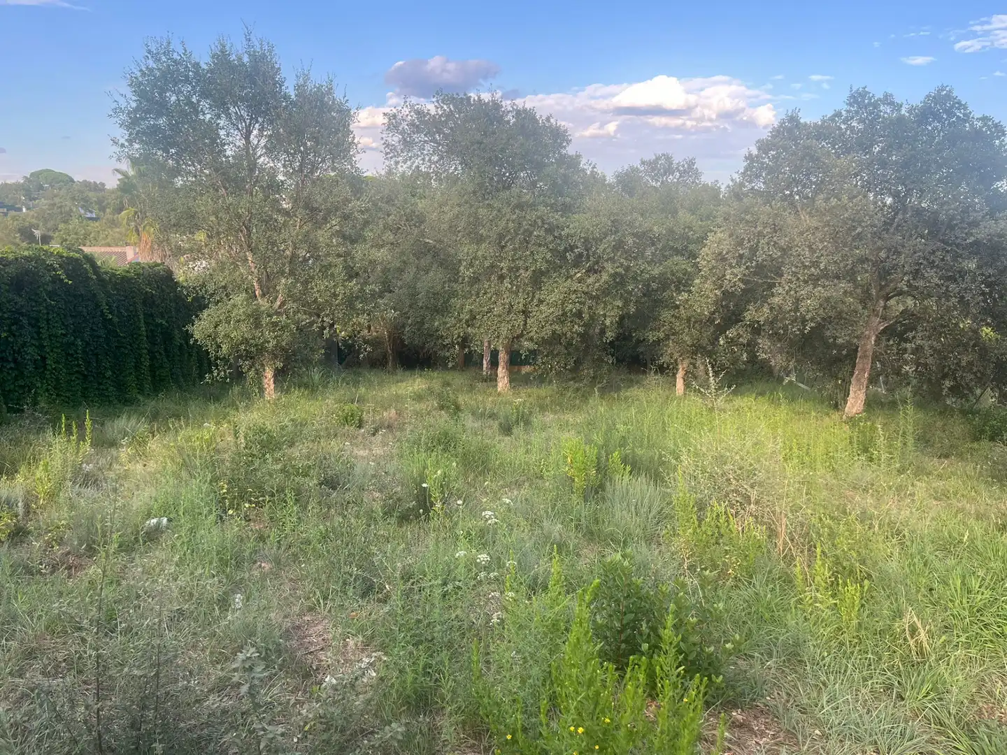 Residential land for sale in Sils, imagen 4