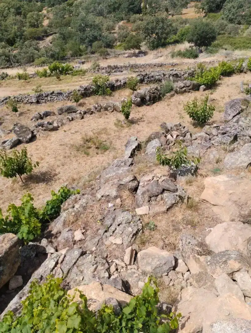 Finca rústica en venta en Pasarón de la Vera
