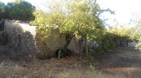 Foto 4 von Grundstücke zum Verkauf in Camino Orellana, Navalvillar de Pela, Badajoz