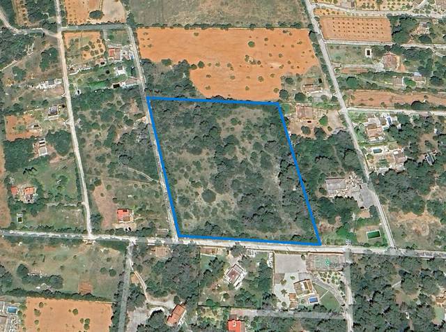 Terreno en Venta en Algaida