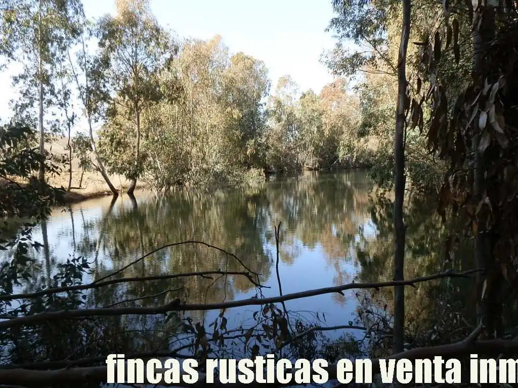 Terreny rústic en venda a Puebla de Don Rodrigo, imagen 16