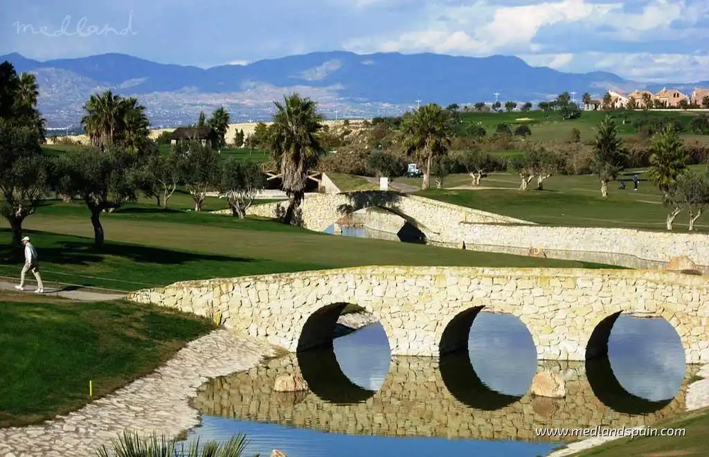 Villa avec piscine à vendre à Algorfa, imagen 13