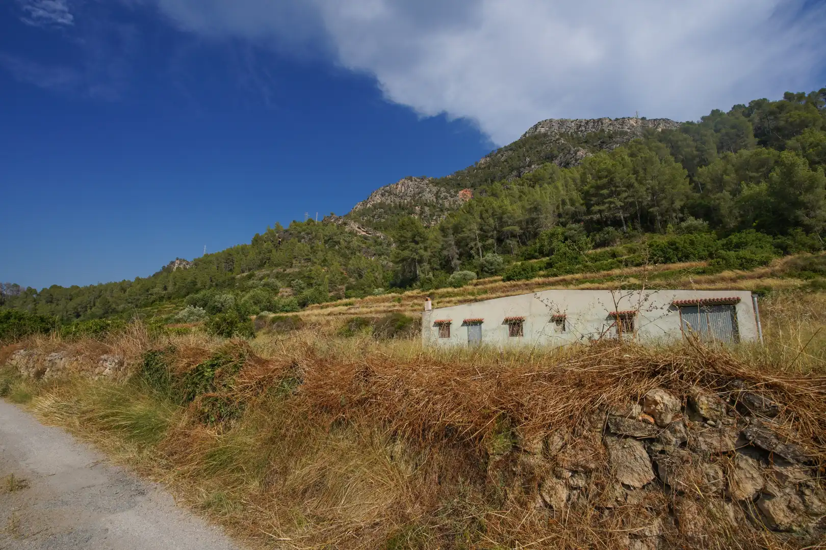 Terrain rustique à vendre à Benifallet, imagen 40
