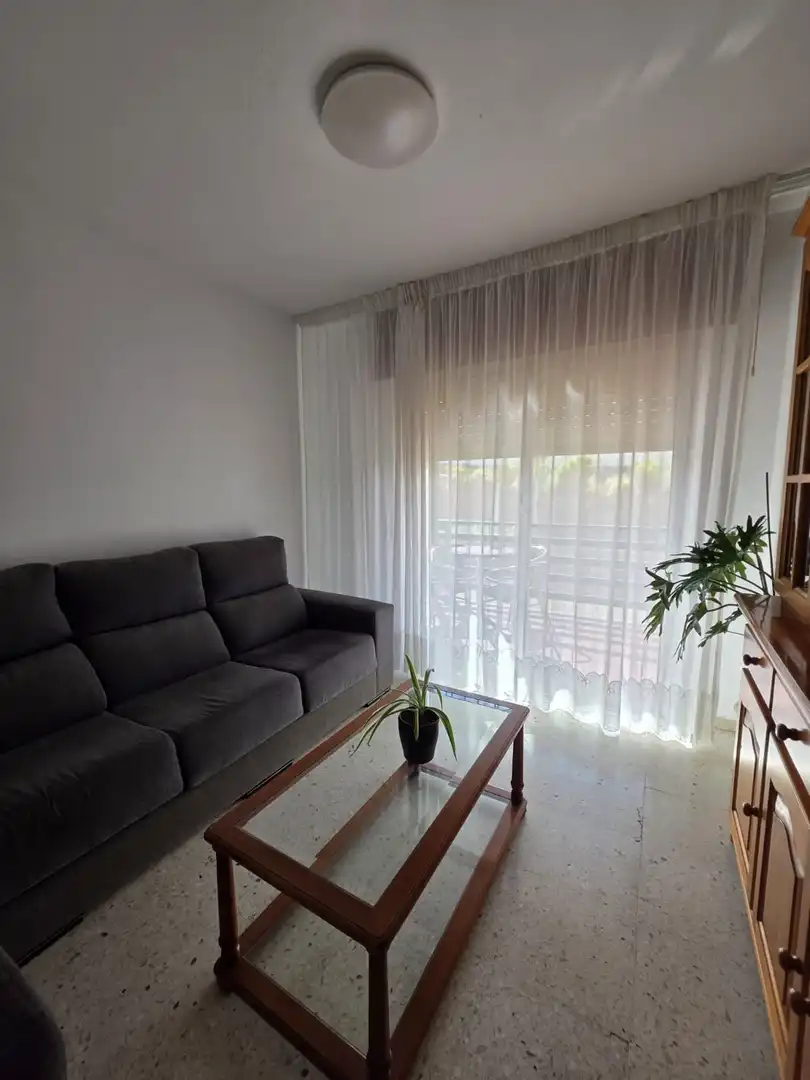Apartament amb ascensor en venda a Juan Carlos I, imagen 3