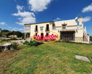 Garden of Residential for sale in Coria del Río