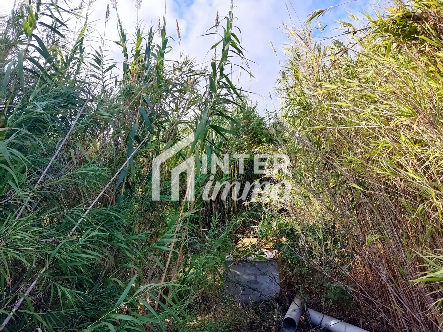 Residential land for sale in Carretera Vilamacolum 0, imagen 2