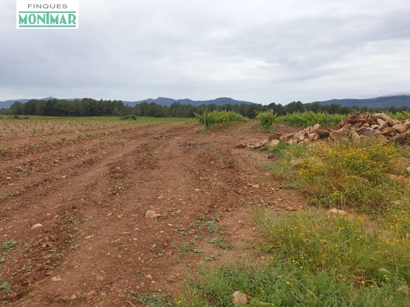 Finca rústica en venda en El Pla de Santa Maria