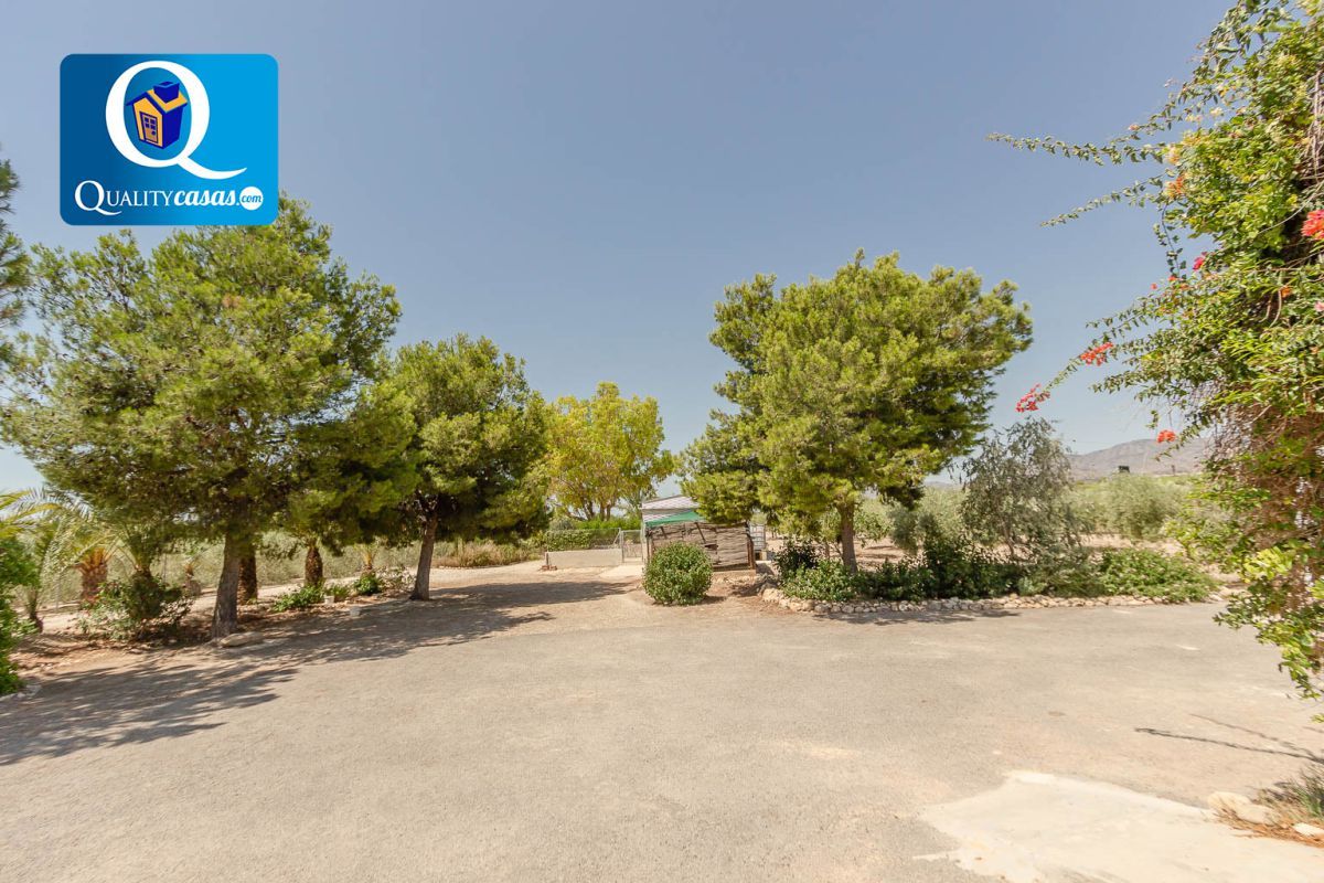 Garden of House or chalet for sale in Crevillent  with Air Conditioner and Terrace