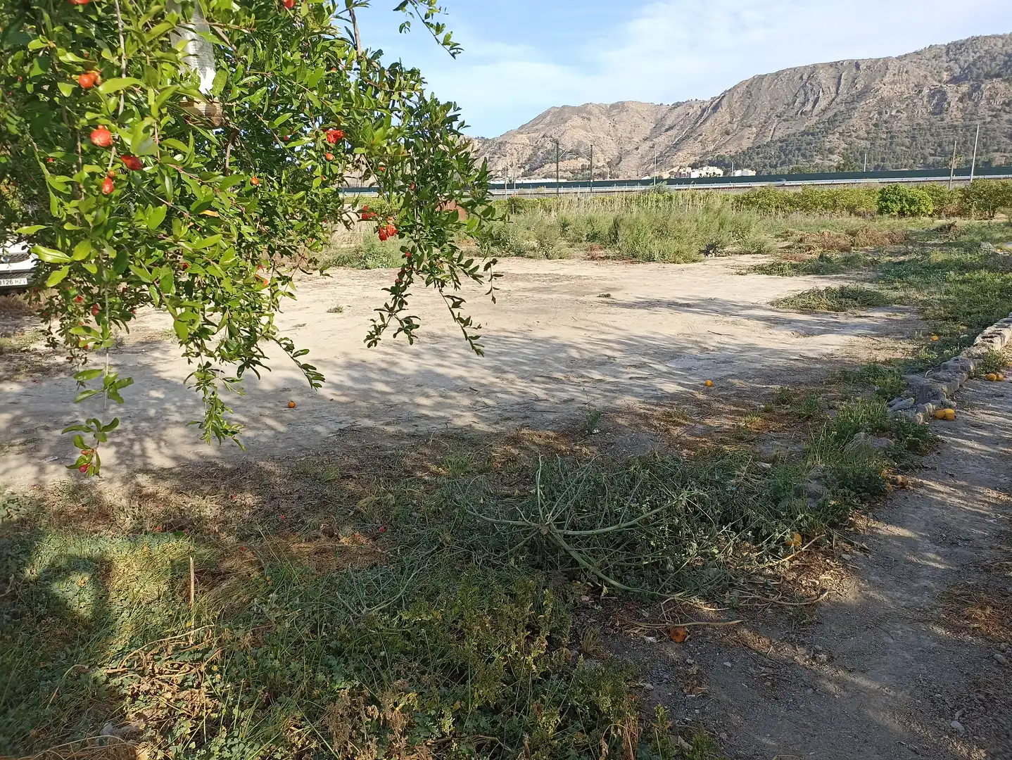 Terrenys i solars en venda a Diseminado Camino Viejo Orihuela 54, imagen 4