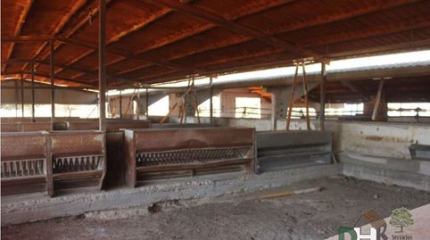 CáceresTerreno, imagen 5