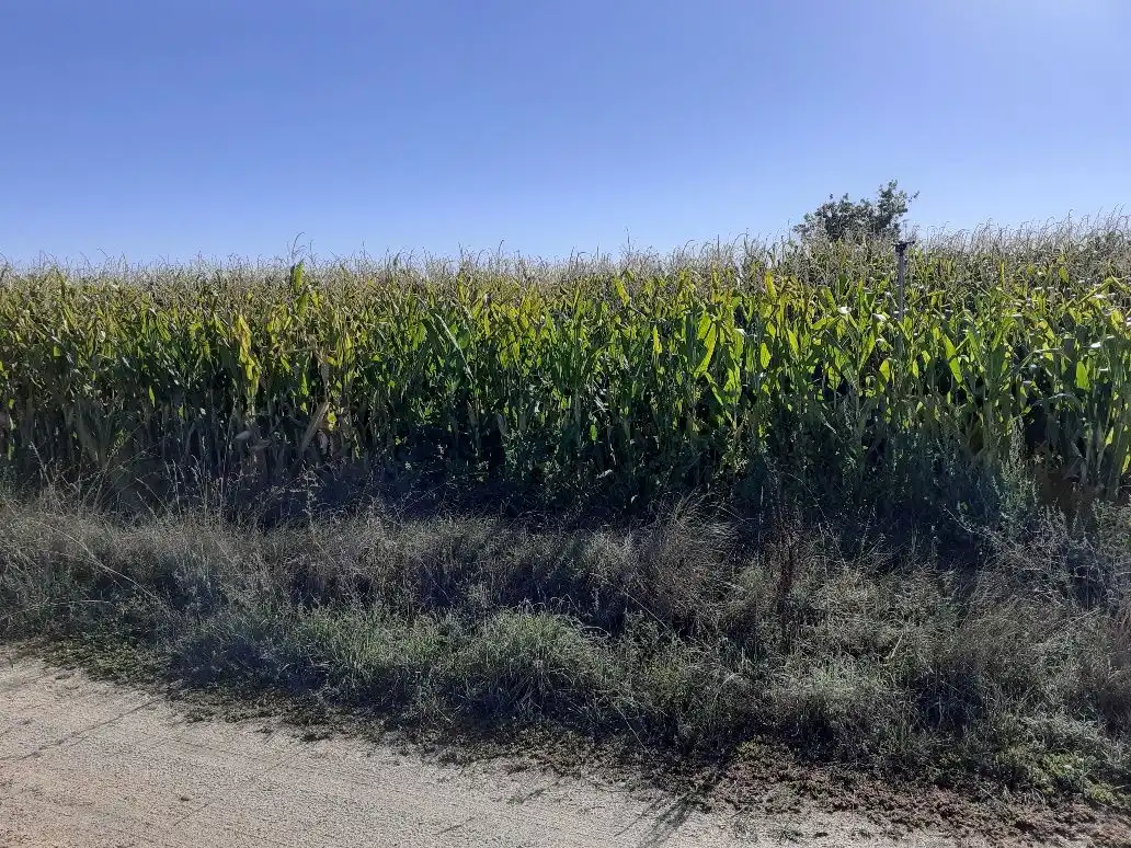 Terreni e lotti in vendita a Área Rural, imagen 2