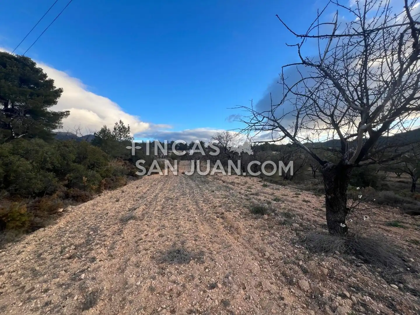 Terreny residencial en venda a Torremanzanas / La Torre de les Maçanes, imagen 2