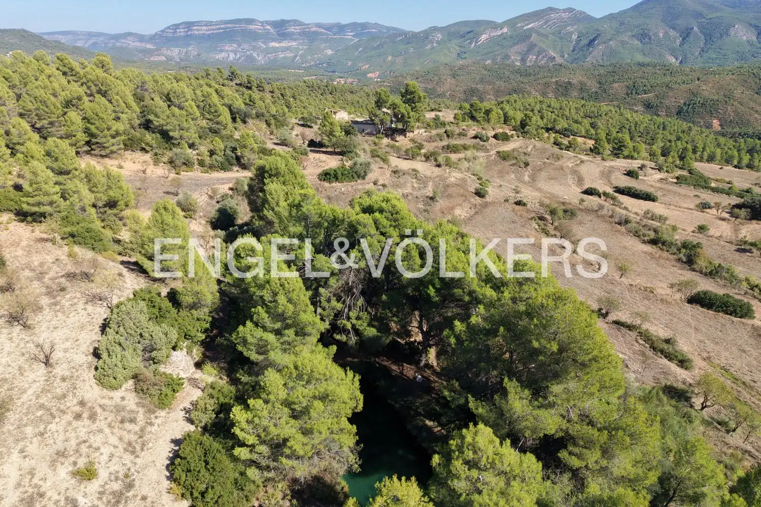 Terrain rustique à vendre à Requena, imagen 46