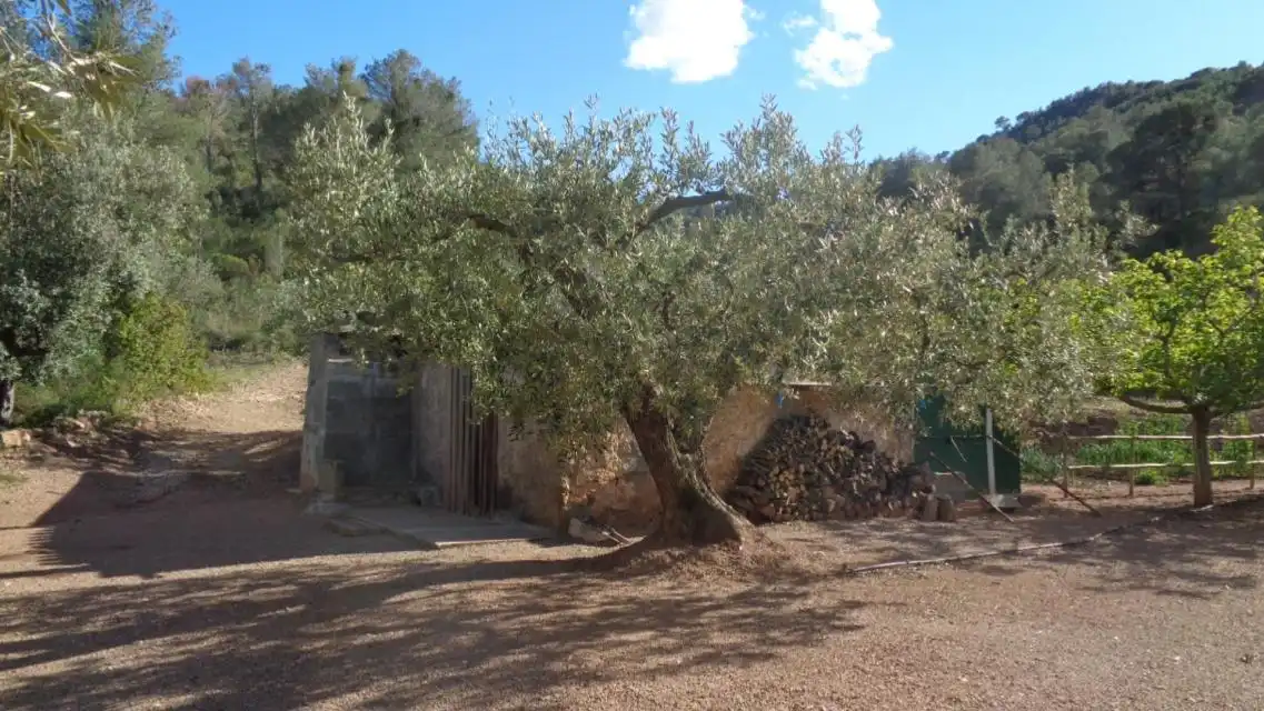 Terreno rustico in vendita a PESOLS, imagen 9