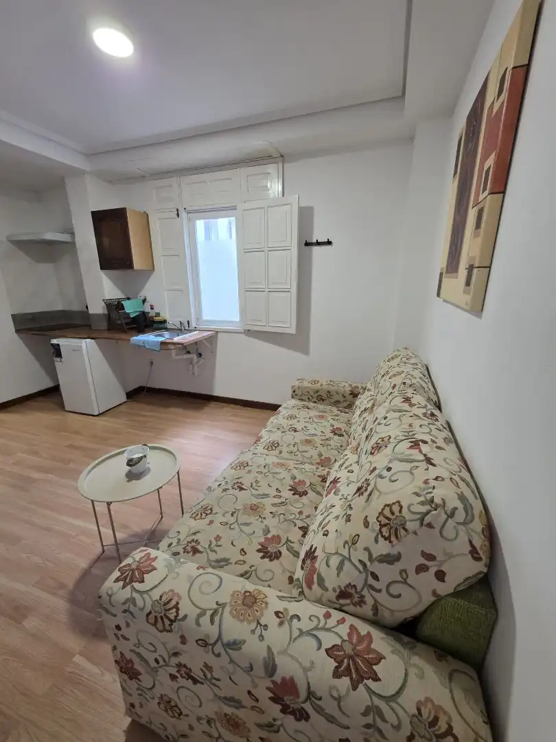 Sala d'estar de Estudi de lloguer en Narón amb Moblat i Es permeten mascotes