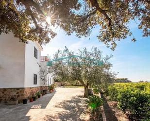 Exterior view of Land for sale in Náquera