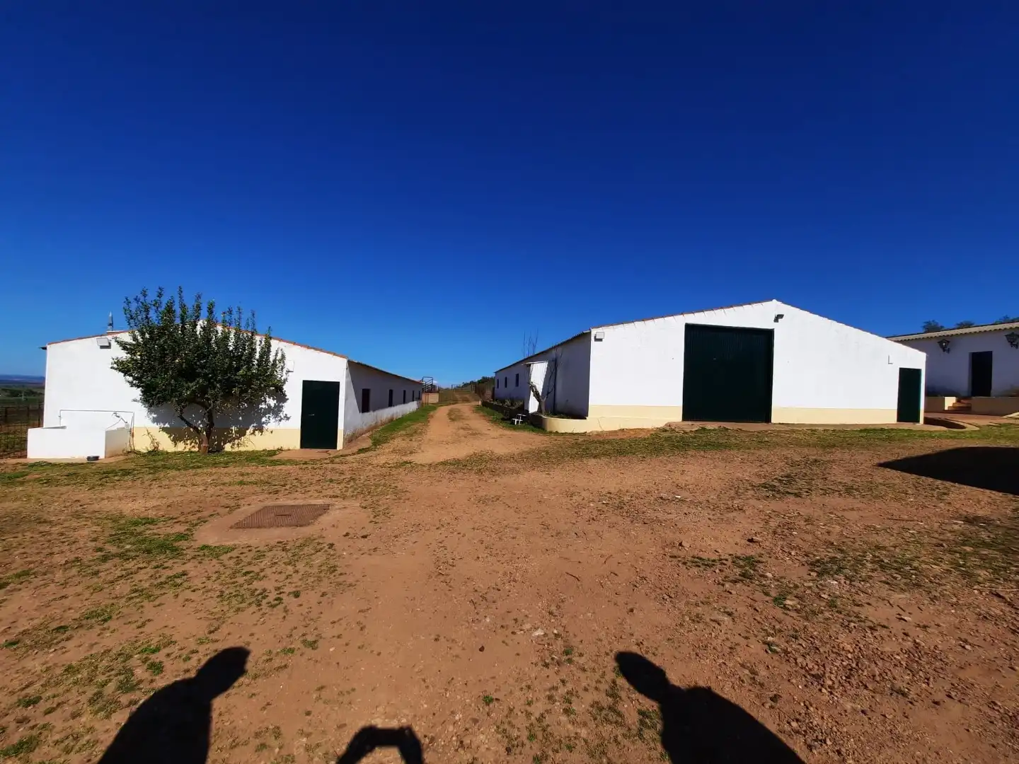 Außenansicht von Grundstücke zum Verkauf in Olivenza
